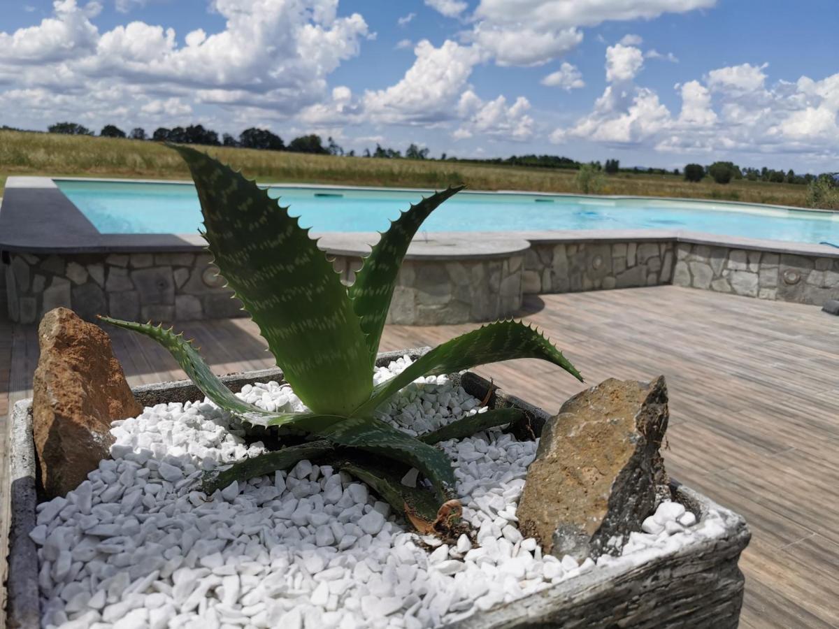 Casale Dei Gelsi Bed & Breakfast Castiglione In Teverina Bagian luar foto