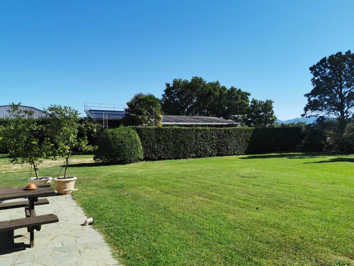 Casale Dei Gelsi Bed & Breakfast Castiglione In Teverina Bagian luar foto