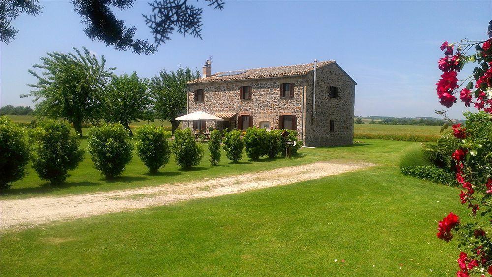 Casale Dei Gelsi Bed & Breakfast Castiglione In Teverina Bagian luar foto